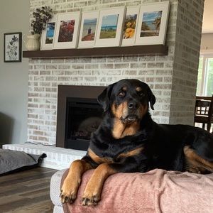 Meet your Posher, Jamie